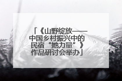 《山野绽放——中国乡村振兴中的民宿“她力量”》作品研讨会举办