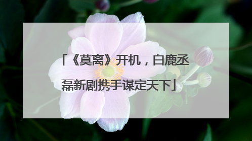 《莫离》开机，白鹿丞磊新剧携手谋定天下