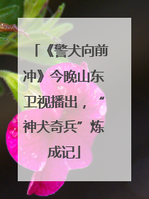 《警犬向前冲》今晚山东卫视播出，“神犬奇兵”炼成记