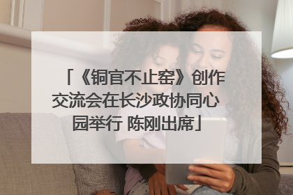 《铜官不止窑》创作交流会在长沙政协同心园举行 陈刚出席