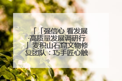 「强信心 看发展·高质量发展调研行」麦积山石窟文物修复团队：巧手匠心触摸“光阴的故事”