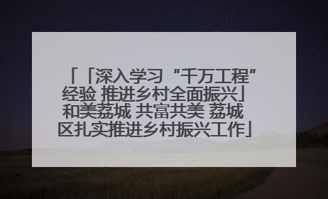 「深入学习“千万工程”经验 推进乡村全面振兴」和美荔城 共富共美 荔城区扎实推进乡村振兴工作