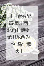 「青春华章·重走西北角」博物馆丑东西为“神马”爆火