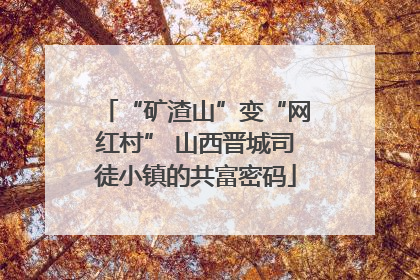 “矿渣山”变“网红村” 山西晋城司徒小镇的共富密码