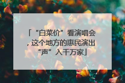 “白菜价”看演唱会，这个地方的惠民演出“声”入千万家