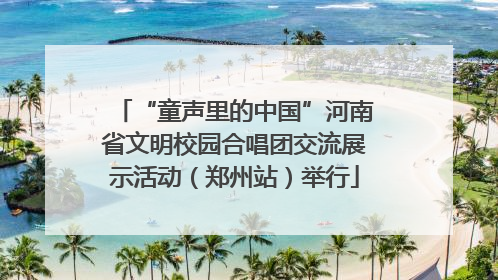 “童声里的中国”河南省文明校园合唱团交流展示活动（郑州站）举行