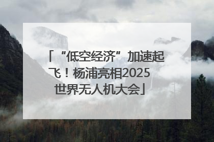 “低空经济”加速起飞！杨浦亮相2025世界无人机大会