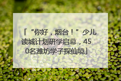 “你好，烟台！”少儿读城计划研学启幕，450名潍坊学子探仙境