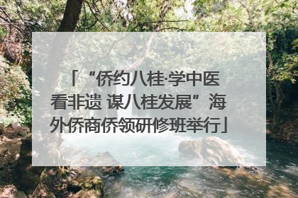 “侨约八桂·学中医 看非遗 谋八桂发展”海外侨商侨领研修班举行