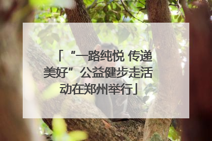 “一路纯悦 传递美好”公益健步走活动在郑州举行