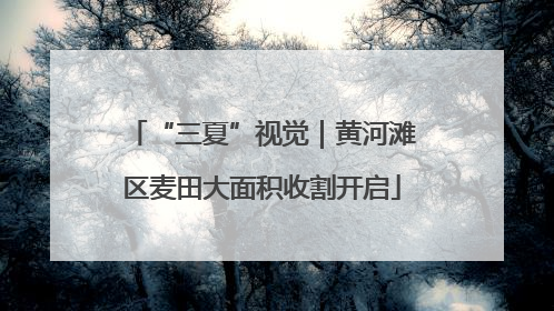 “三夏”视觉｜黄河滩区麦田大面积收割开启