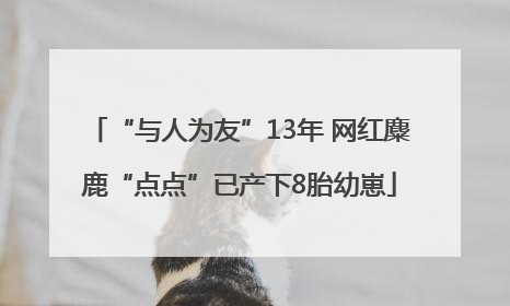 “与人为友”13年 网红麋鹿“点点”已产下8胎幼崽