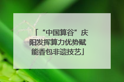 “中国算谷”庆阳发挥算力优势赋能香包非遗技艺