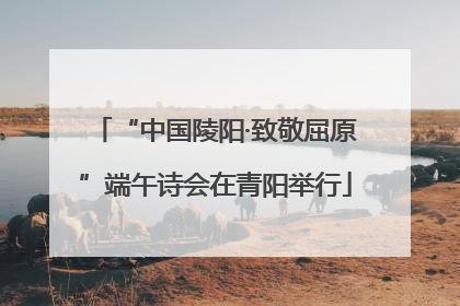“中国陵阳·致敬屈原”端午诗会在青阳举行