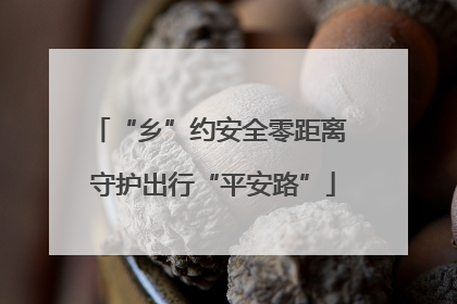 “乡”约安全零距离 守护出行“平安路”