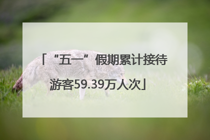 “五一”假期累计接待游客59.39万人次