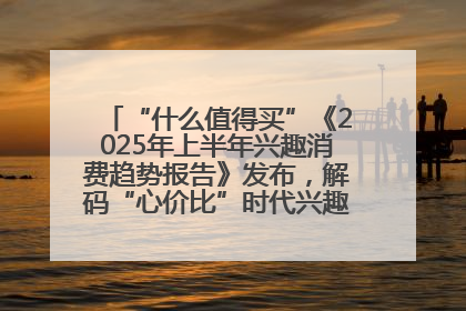 “什么值得买”《2025年上半年兴趣消费趋势报告》发布，解码“心价比”时代兴趣消费新范式