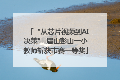 “从芯片视频到AI决策” 眉山彭山一小教师斩获市赛一等奖