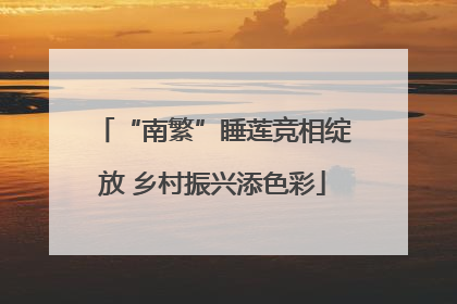 “南繁”睡莲竞相绽放 乡村振兴添色彩