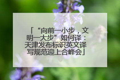 “向前一小步，文明一大步”如何译：天津发布标识英文译写规范迎上合峰会