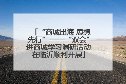 “商城出海 思想先行”——“双会”进商城学习调研活动在临沂顺利开展