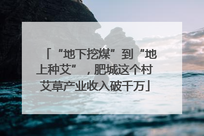 “地下挖煤”到“地上种艾”，肥城这个村艾草产业收入破千万