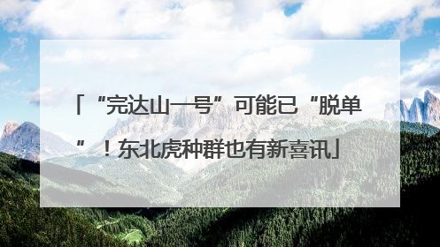 “完达山一号”可能已“脱单”！东北虎种群也有新喜讯