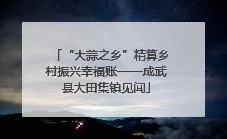 “大蒜之乡”精算乡村振兴幸福账——成武县大田集镇见闻
