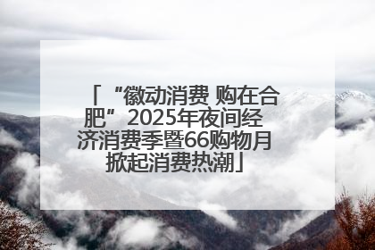 “徽动消费 购在合肥”2025年夜间经济消费季暨66购物月掀起消费热潮