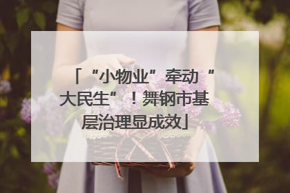 “小物业”牵动“大民生”！舞钢市基层治理显成效