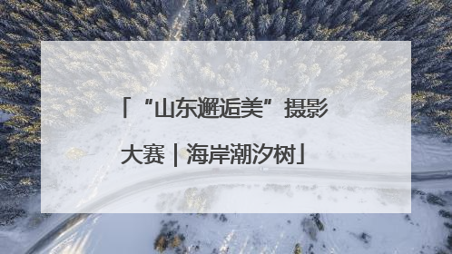 “山东邂逅美”摄影大赛｜海岸潮汐树