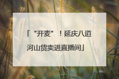 “开麦”！延庆八道河山货卖进直播间