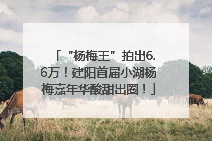 “杨梅王”拍出6.6万！建阳首届小湖杨梅嘉年华酸甜出圈！