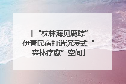 “枕林海见鹿踪” 伊春民宿打造沉浸式“森林疗愈”空间
