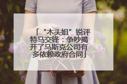 “木头姐”锐评特马交锋：争吵揭开了马斯克公司有多依赖政府合同