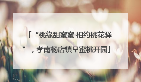 “桃缘甜蜜蜜·相约桃花驿”，孝南杨店镇早蜜桃开园