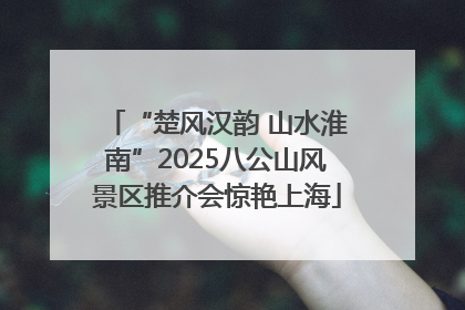 “楚风汉韵 山水淮南”2025八公山风景区推介会惊艳上海