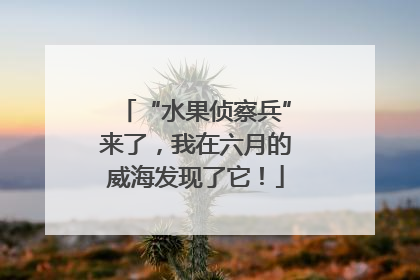 “水果侦察兵”来了，我在六月的威海发现了它！