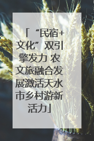 “民宿+文化”双引擎发力 农文旅融合发展激活天水市乡村游新活力