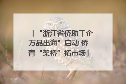 “浙江省侨助千企万品出海”启动 侨青“架桥”拓市场
