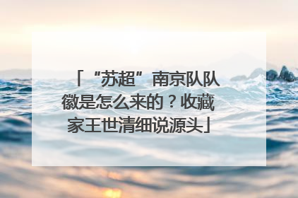 “苏超”南京队队徽是怎么来的？收藏家王世清细说源头