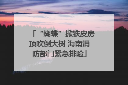 “蝴蝶”掀铁皮房顶吹倒大树 海南消防部门紧急排险