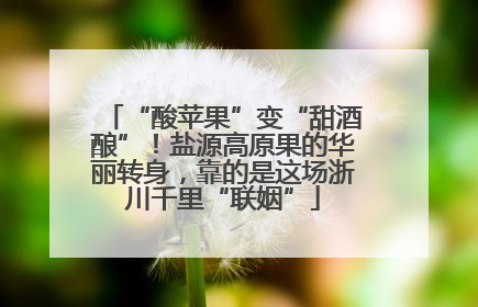 “酸苹果”变“甜酒酿”！盐源高原果的华丽转身，靠的是这场浙川千里“联姻”