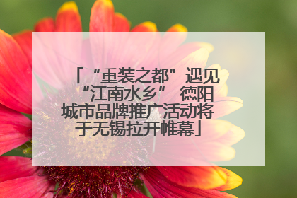 “重装之都”遇见“江南水乡” 德阳城市品牌推广活动将于无锡拉开帷幕