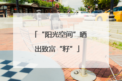 “阳光空间”晒出致富“籽”