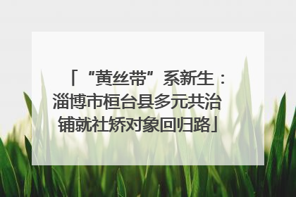 “黄丝带”系新生：淄博市桓台县多元共治铺就社矫对象回归路