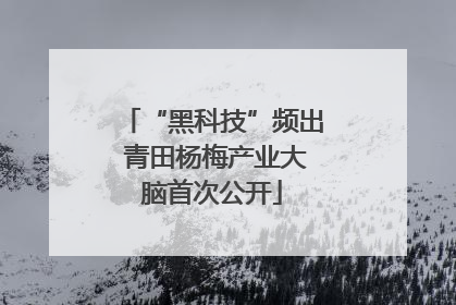“黑科技”频出 青田杨梅产业大脑首次公开