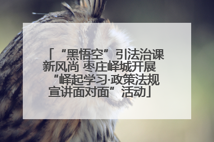 “黑悟空”引法治课新风尚 枣庄峄城开展“峄起学习·政策法规宣讲面对面”活动