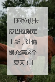 珂拉琪卡皮巴拉限定上新，让慵懒充满这个夏天！