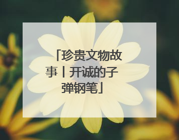 珍贵文物故事丨开诚的子弹钢笔